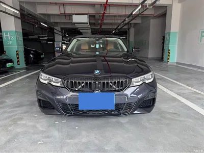 2020 BMW 3 Series 325Li M Sport Black Night Package, фото 1, лот 11214933