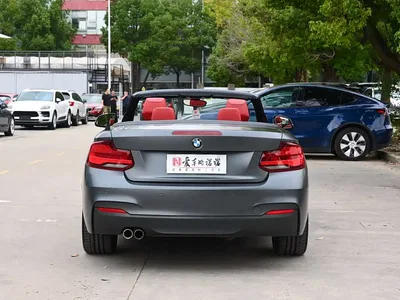 2019 BMW 2 Series (Import) 225i Convertible Coupe Exclusive M Sport Package, фото 4, лот 11137569