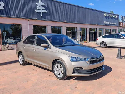 2020 Škoda Rapid 1.5L Manual Standard, фото 3, лот 10476224