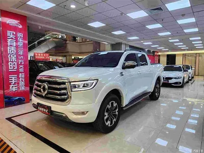 2021 Great Wall Pao 2.0T Passenger Global Edition Automatic Gasoline 4WD Sport Standard Box GW4C20B, фото 1, лот 10246143
