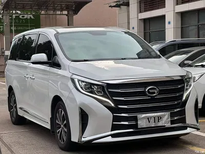 2023 GAC Trumpchi Trumpchi M8 Leading Series 390T Luxury Edition, фото 1, лот 10413569