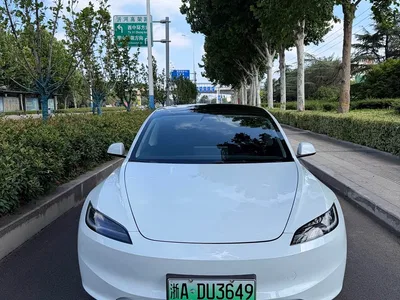 2025 Tesla Model 3 Model Rear-Wheel Drive Edition, фото 1, лот 10351810