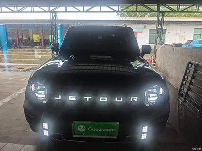 2023 Jetour Traveler Model 2.0T 4WD Cross PRO, фото 3, лот 11103008