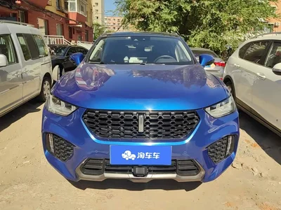 2017 WEY VV5 2.0T Flagship Model, фото 2, лот 10319360