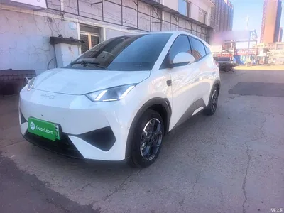 2025 BYD Seagull Smart Drive Edition 305km Freedom Version, фото 2, лот 11579493