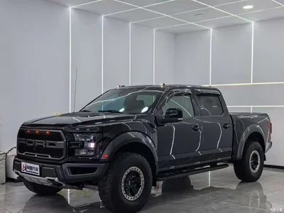 2018 Ford F-150 Raptor 3.5T Raptor Performance Enhanced Edition, фото 1, лот 10296081