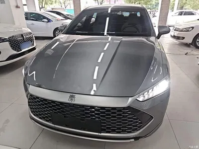 2023 BYD Qin PLUS Champion Edition DM-i 55KM Leading, фото 3, лот 10386379