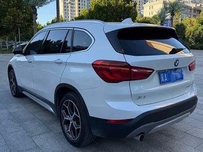 2019 BMW X1 sDrive18Li Premium Model, фото 4, лот 10629901