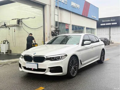 2019 BMW 5 Series 530Li Leading M Sport Package, фото 1, лот 11548710