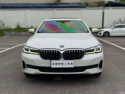2021 BMW 5 Series Facelift 530Li Leading Luxury Package, фото 2, лот 11177797