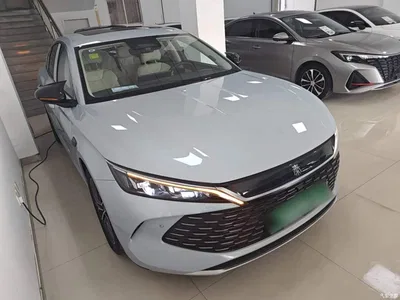 2025 BYD Qin L DM-i Smart Drive Edition 120KM Excellence Type, фото 4, лот 10265958