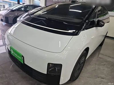 2025 Li Auto MEGA Model Home Family Special Edition, фото 1, лот 10447476
