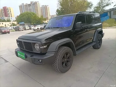 2024 Tank 300 2.0T Conqueror, фото 2, лот 10895027