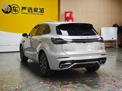 2023 Hongqi HS5 2.0T 4WD Flag Leader Pro, фото 4, лот 10288303