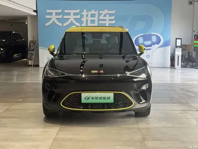 2022 smart Elf #1 Pro+ Edition, фото 2, лот 10342959