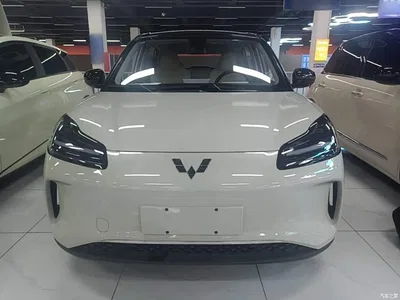 2024 Wuling Motors Wuling Binguo PLUS 401km Range 5-seater, фото 3, лот 10836104