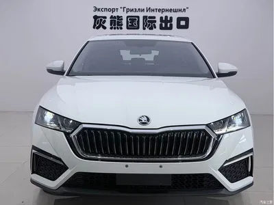 2023 Škoda Octavia Facelift PRO TSI280 Luxury Edition, фото 2, лот 10348748