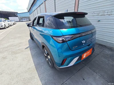 2021 BYD Dolphin 401km Knight Edition, фото 3, лот 10254629