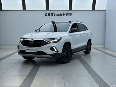 2021 Jetta VS7 Panda Edition 1.4T Auto Deluxe, фото 1, лот 10423935