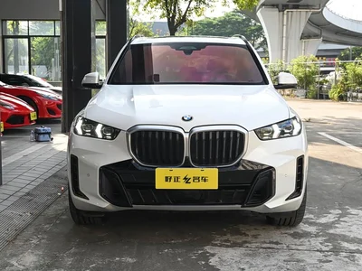 2023 BMW X5 xDrive 40Li Premium M Sport Black Night Package, фото 2, лот 10462557