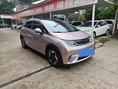 2021 BYD Dolphin Model 405km Fashion Edition, фото 3, лот 11087434
