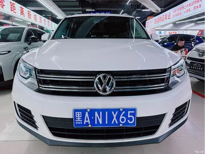 2016 Volkswagen Tiguan Model 300TSI Automatic 4WD Trend Vision Edition, фото 2, лот 10396386