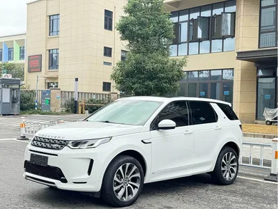 2021 Land Rover Discovery Sport 249PS R-Dynamic S Performance Edition, фото 2, лот 10672531