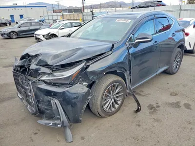 2025 LEXUS NX 350 PREMIUM, фото 1, лот 10849995