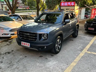 2021 Haval Big Dog 1.5T DCT 2WD Labrador Edition, фото 3, лот 10766080