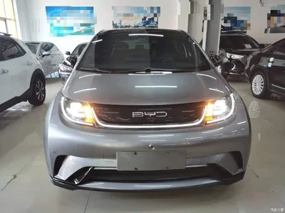 2023 BYD Dolphin 420km Fashion Edition, фото 3, лот 10263951