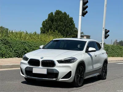 2020 BMW X2 sDrive20i M Off-Road Package, фото 1, лот 10236930