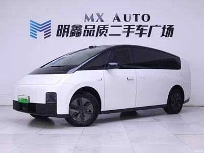 2025 Li Auto MEGA Model Home Family Special Edition, фото 2, лот 10445300