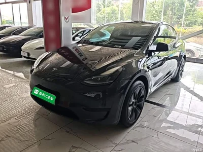 2024 Tesla Model Y Rear-Wheel Drive Version, фото 1, лот 10370079
