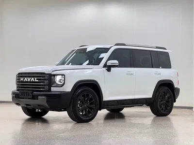 2024 Haval Meng Long NEV Hi4 145 Cross-country Edition, фото 1, лот 10296967