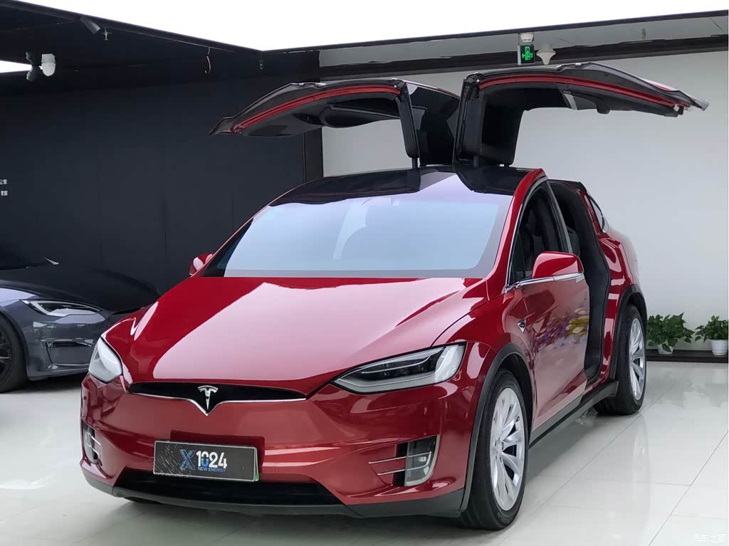 2019 Tesla Model X Long Range Version, фото 1, лот 11097810