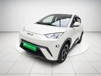 2024 BYD Seagull Glory Edition 405km Soaring Edition, фото 1, лот 10385824