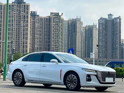 2024 Hongqi H5 2.0T Automatic Smart Connect Flag Smooth Edition, фото 3, лот 11188479