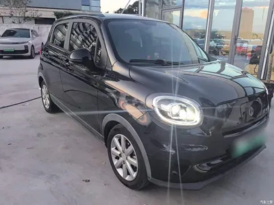 2022 Leapmotor T03 Pearl Edition, фото 4, лот 10441936