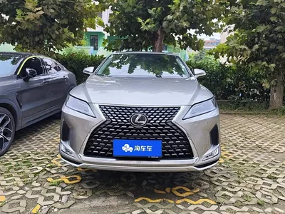 2020 Lexus RX Facelift 300 2WD Comfort Edition, фото 2, лот 10404812