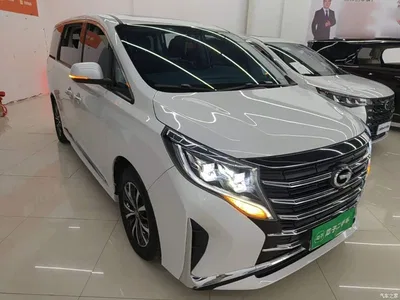 2023 GAC Trumpchi Trumpchi M8 Leading Series 390T Premium Edition, фото 4, лот 11096302