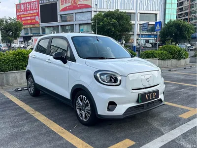 2021 Leapmotor T03 400 Micro Sugar Edition, фото 3, лот 11095679