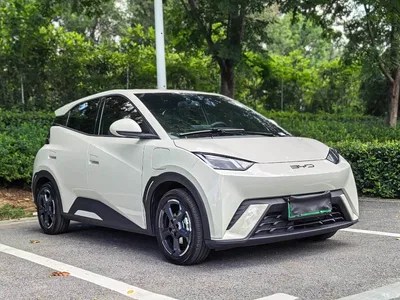 2023 BYD Seagull Freedom Edition, фото 3, лот 10889705