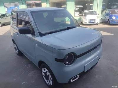 2025 Geely Galaxy Panda mini 210km Vitality Bear, фото 4, лот 10433344
