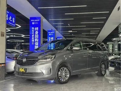 2021 Buick GL8 Land Business Class 652T Luxury, фото 1, лот 11195406