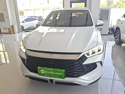 2024 BYD Song Pro New Energy Glory Edition DM-i 71KM Pilot, фото 3, лот 10886596