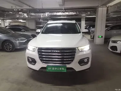 2020 Haval H6 2.0GDIT Automatic Platinum Champion Edition, фото 2, лот 10894373