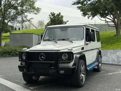 2010 Mercedes-Benz G-Class G 500, фото 1, лот 10280557
