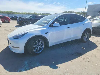 2023 TESLA MODEL Y, фото 1, лот 11186632