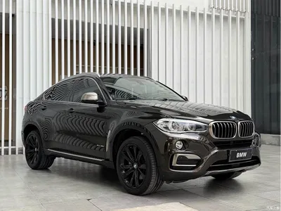 2018 BMW X6 xDrive35i Leading Model, фото 3, лот 10469070