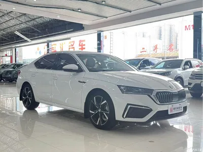2022 Škoda Octavia PRO TSI280 Luxury Edition, фото 3, лот 10348647